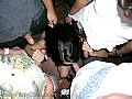 sexypartyclub1004471.jpg