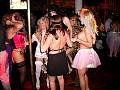 party1001003.jpg