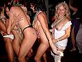 party1001011.jpg