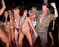 party1001013.jpg