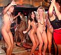 party1001046.jpg